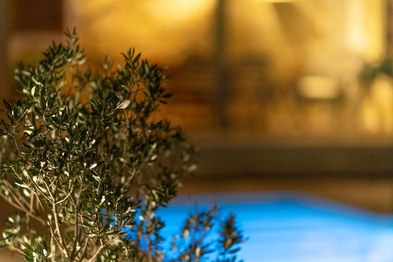 Villa Kalliopi Ιncreteble Cretan Resindences Collection セロカンポス エクステリア 写真